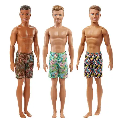 Mattel Barbie Ken v plavkách, více druhů