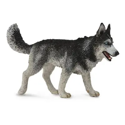 COLLECTA Sibiřský husky