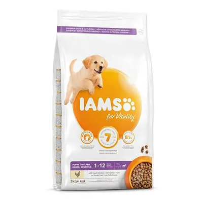 IAMS Dog Puppy Large Chicken 3 kg