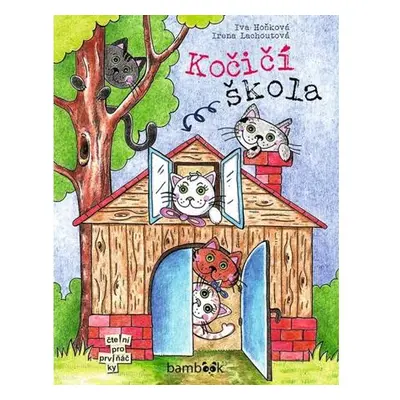 Kočičí škola