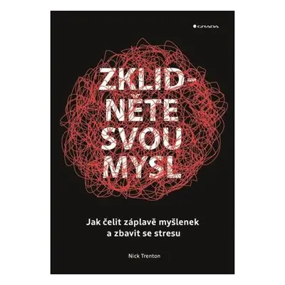 Zklidněte svou mysl - Jak čelit záplavě myšlenek a zbavit se stresu