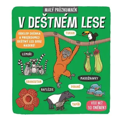 Malý průzkumník - V deštném lese