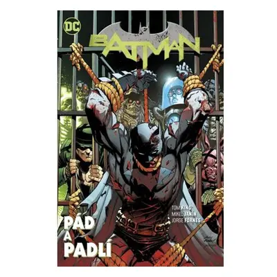 Batman - Pád a padlí