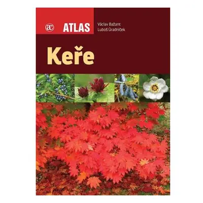 Keře - Atlas