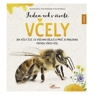 Jeden rok v životě včely - Jak včely žijí, co všechno dělají a proč je královna matkou všech vče