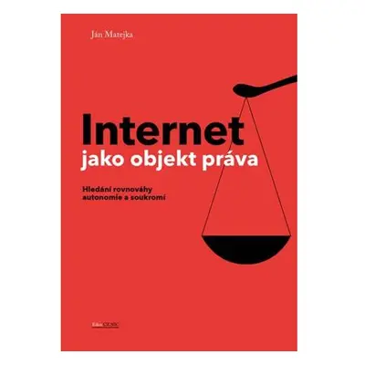 Internet jako objekt práva - Hledání rovnováhy anatomie a soukromí