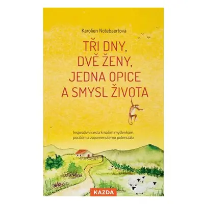 Tři dny, dvě ženy, jedna opice a smysl života - Inspirativní cesta k našim myšlenkám, pocitům a 