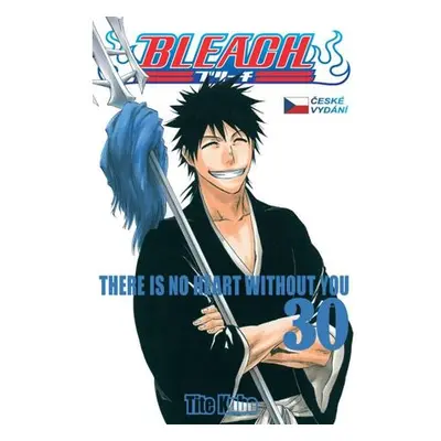 Bleach 30: There is no heart without you