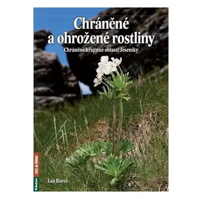 Chráněné a ohrožené rostliny - Chráněná krajinná oblast Jeseníky