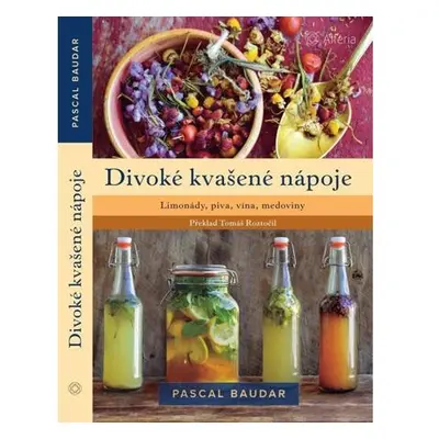 Divoké kvašené nápoje - Limonády, piva, vína, medoviny