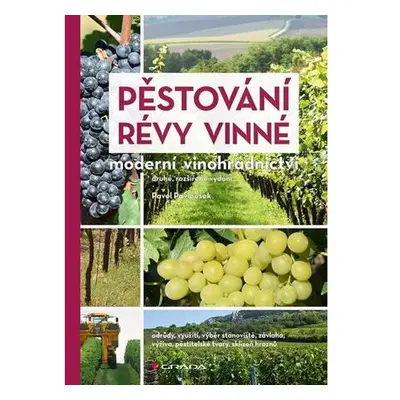 Pěstování révy vinné - Moderní vinohradnictví