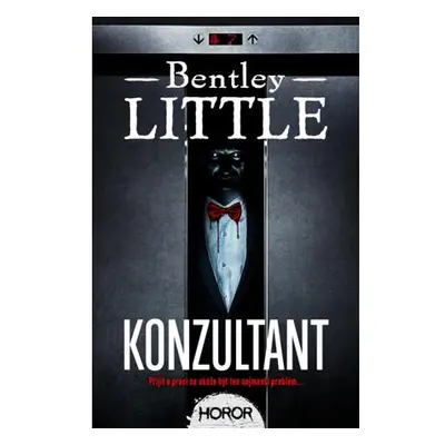 Konzultant