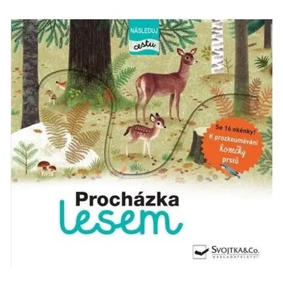 Procházka lesem - následuj cestu