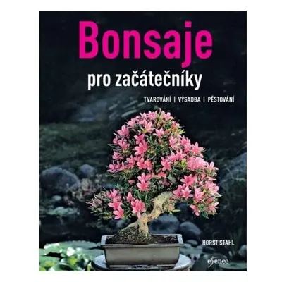 Bonsaje pro začátečníky