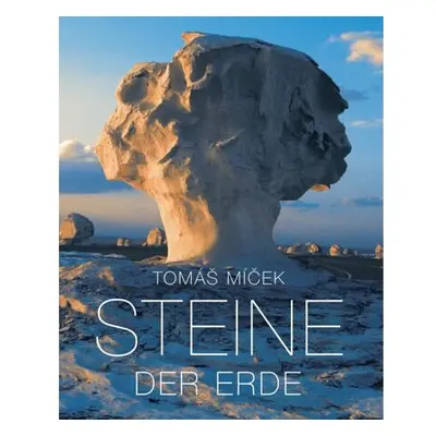 Steine der Erde