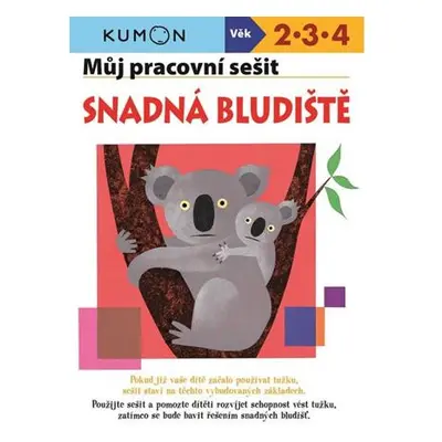 Snadná bludiště - Můj pracovní sešit