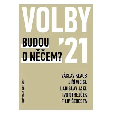 Volby 2021 - Budou o něčem?