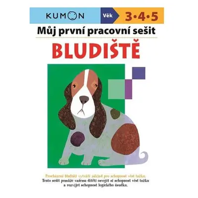 Bludiště - Můj pracovní sešit