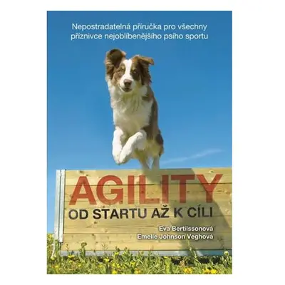 Agility - Od startu až k cíli