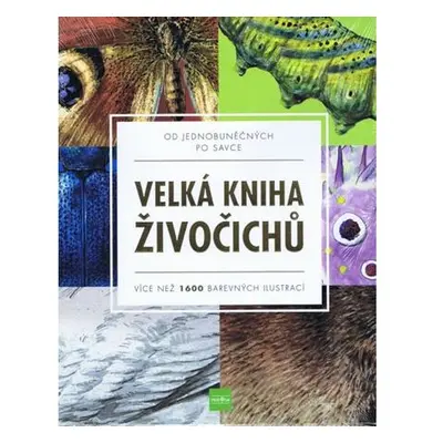 Velká kniha živočichů od jednobuněčných po savce - Více než 1600 barevných ilustrací