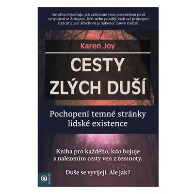 Cesty zlých duší - Pochopení temné stránky lidské existence