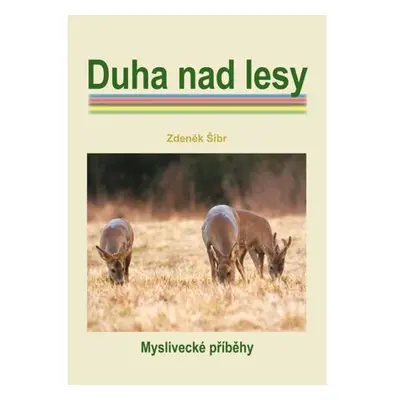 Duha nad lesy