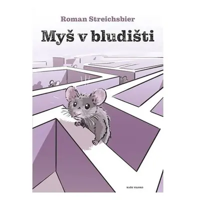 Myš v bludišti