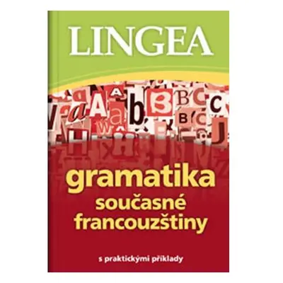 Gramatika současné francouzštiny s praktickými příklady