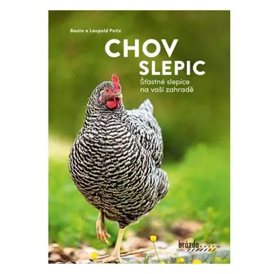 Chov slepic - Šťastné slepice na vaší zahradě