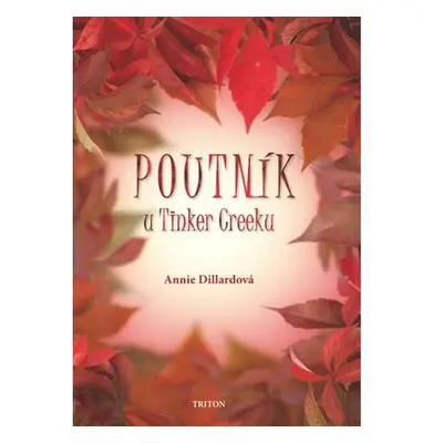 Poutník u Tinker Creeku