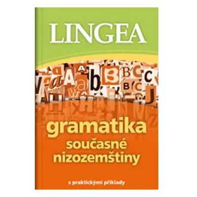 Gramatika současné nizozemštiny s praktickými příklady