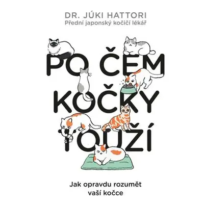 Po čem kočky touží? Ilustrovaný lidsko-kočičí slovník