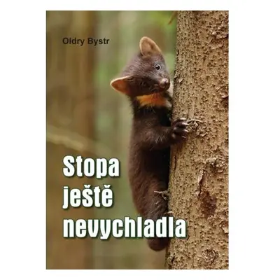 Stopa ještě nevychladla