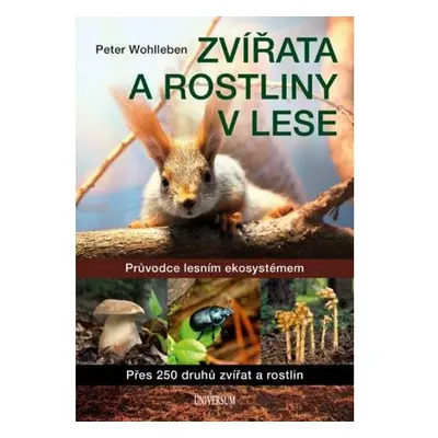 Zvířata a rostliny v lese