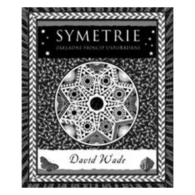 Symetrie - Princip organizace