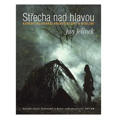 Střecha nad hlavou