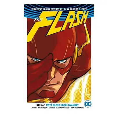 Flash 1 - Blesk udeří dvakrát