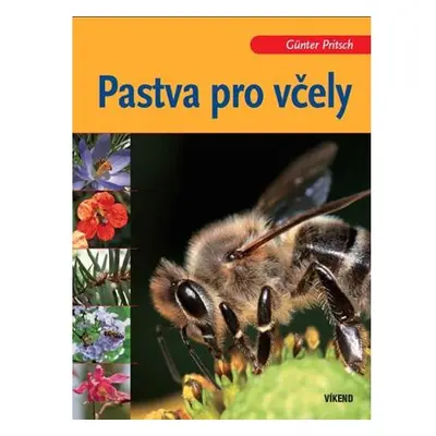 Pastva pro včely