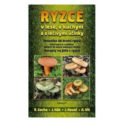 Ryzce v lese, v kuchyni a s léčivými účinky