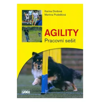 Agility - Pracovní sešit