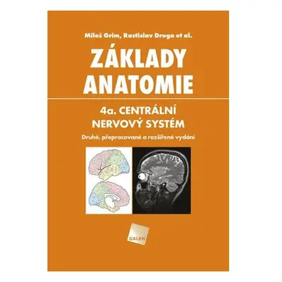 Základy anatomie 4a - Centrální nervový systém