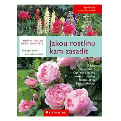 Jakou rostlinu kam zasadit