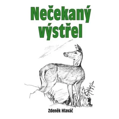 Nečekaný výstřel