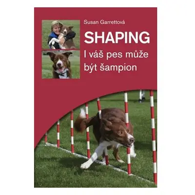 Shaping - I váš pes může být šampion