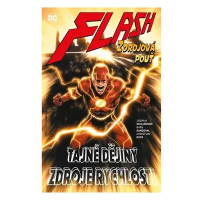 Flash 10 - Zdrojová pouť