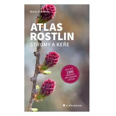 Atlas rostlin - Stromy a keře