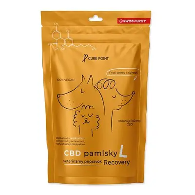 Pochoutka CBD Recovery L 100g