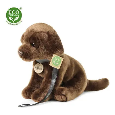 Rappa Plyšový pes labrador 25 cm ECO-FRIENDLY