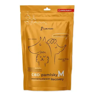 Pochoutka CBD Recovery M 100g