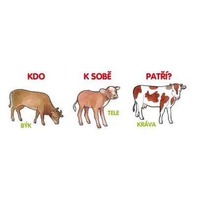 Kdo k sobě patří?